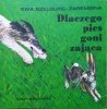 Ewa Szelburg-Zarembina Dlaczego pies goni zająca [Poczytaj mi mamo]